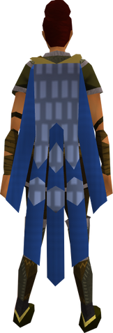 File:Team-30 cape equipped.png