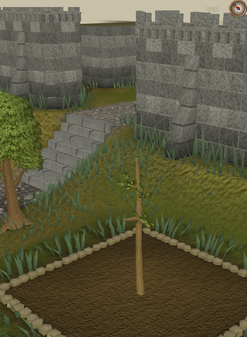File:Yew2.png
