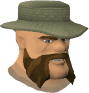 File:Gulldamar chathead old.png