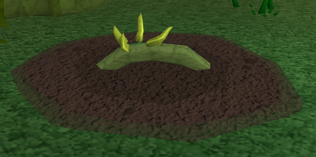 File:Red vine blossom2.png