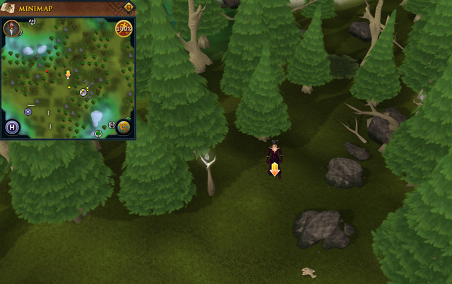File:Scan clue Tirannwn north-east of Tirannwn lodestone.png