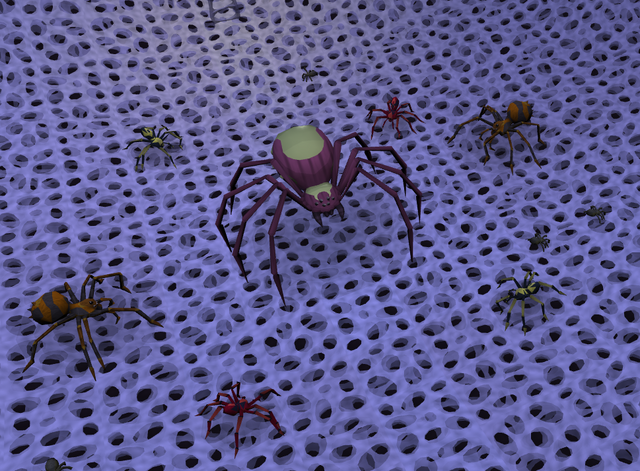File:Spider court 1.png