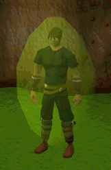Swamp decay protection