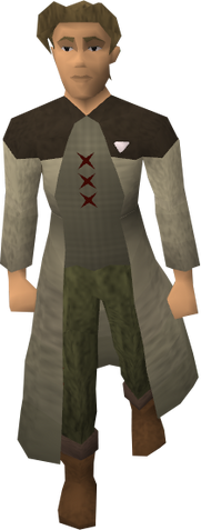 File:Assistant Serf.png