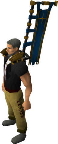 File:Saradominist banner equipped.png