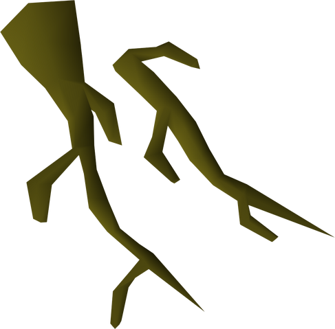 File:Oak roots detail.png