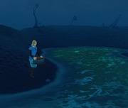 Fishing in the Wilderness