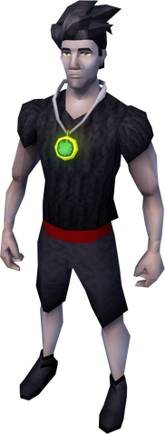File:Amulet of defence equipped.png