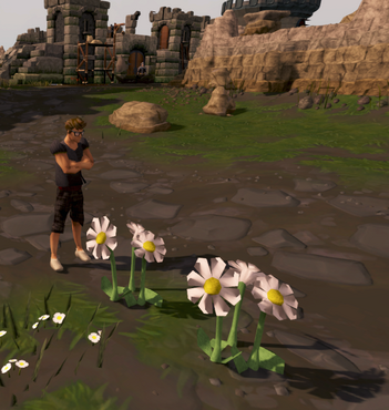 File:Flowers.png