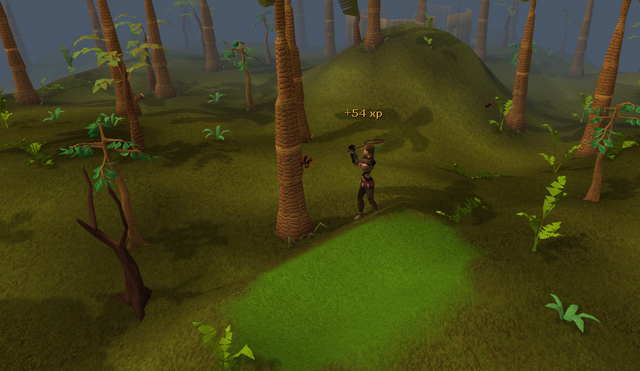 File:Hunting butterfly.png