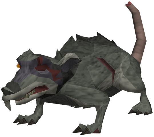 File:Giant crypt rat.png