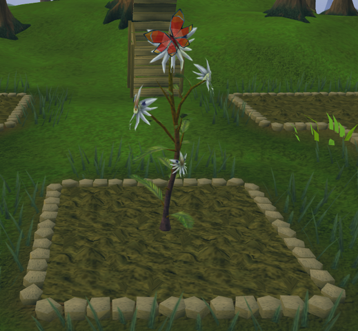 File:Butterfly flower5.png
