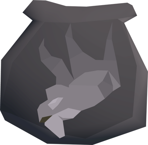File:Spirit graahk pouch(u) detail.png