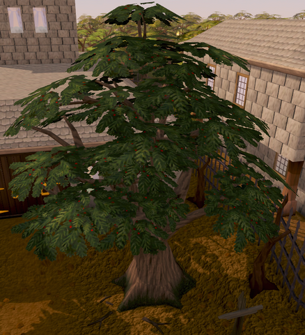 File:Seers yews.png
