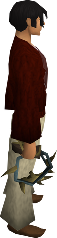 File:Exquisite whip equipped.png