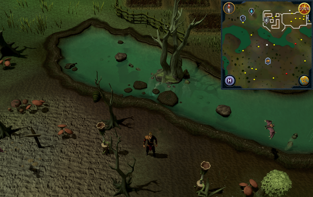 File:Compass clue Port Phasmatys south of farming patches.png