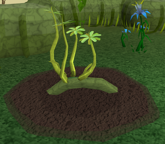 File:Green vine blossom5.png