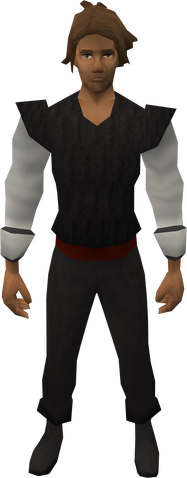 File:Princely Sleeves (male).png
