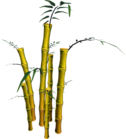 File:Golden Bamboo (tree).png