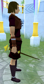 File:Master wand equipped.png