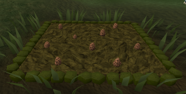 File:Morchella mushroom1.png