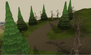 Prifddinas northen woodland