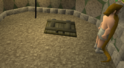 Rupert the beard in tower