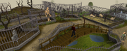 Ardougne-zoo.png