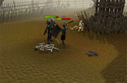 Fight arena1a.jpg