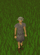 Emote, Give Thanks.gif