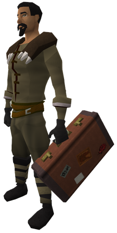 File:Off-hand suitcase equipped.png