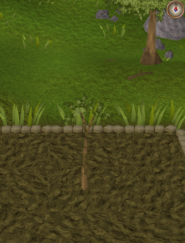 File:Spirit tree4.png