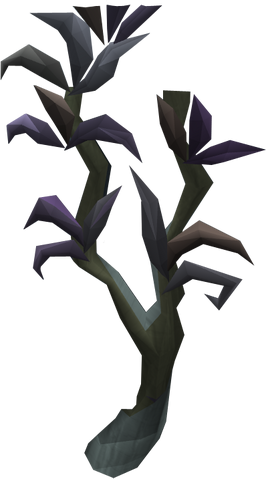 File:Utuku Tree.png