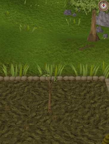 File:Spirit tree3.png