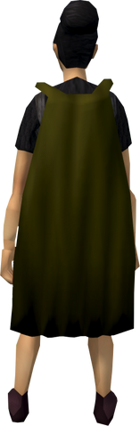 File:Fremennik cloak (brown) equipped.png