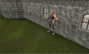 Robin Lumbridge.png