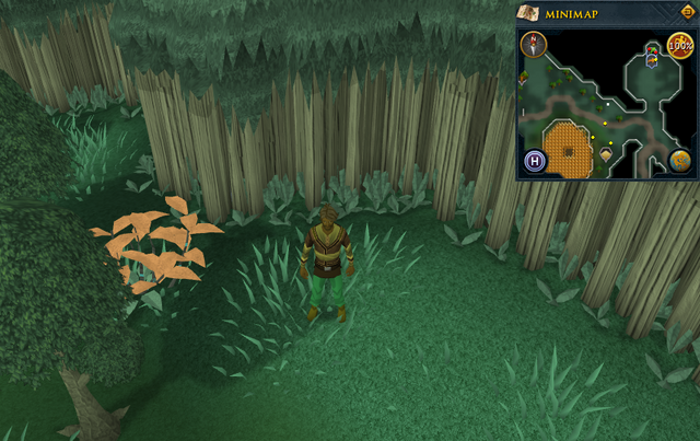 File:Scan clue Zanaris south-west of Chicken Shrine.png