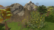 Eagles Peak Path