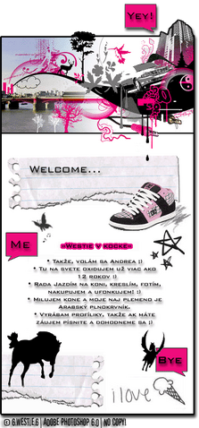 Súbor:Prf.city.png