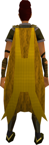 File:Team-12 cape equipped.png
