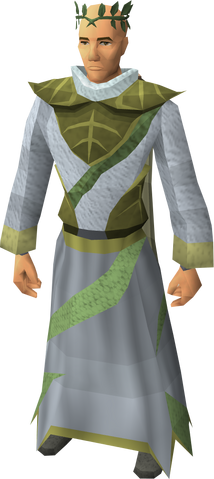 File:Third-age druidic equipped male.png