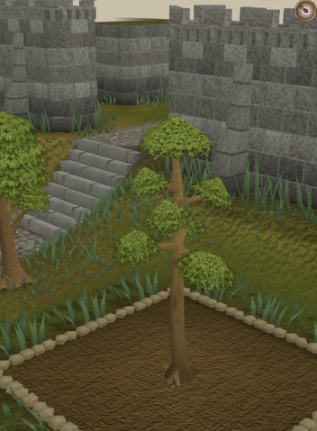 File:Yew4.png