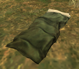 SleepingBagIngame.png
