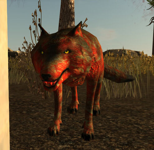 Файл:Zwolf.jpg