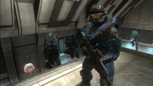 Blue Grunts
