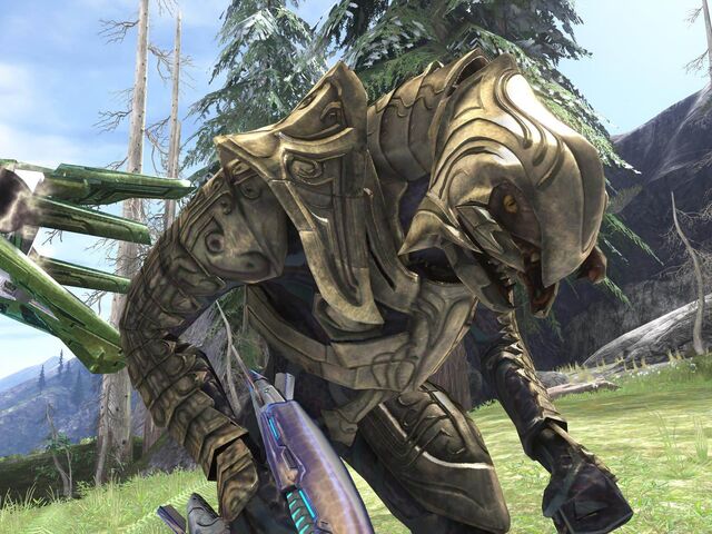 File:Arbiter.jpg