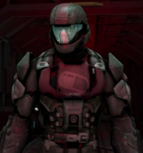 Insurrection Leader