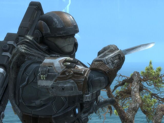 File:Reach 24541514 Full.jpg