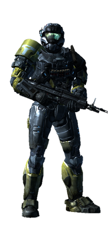 File:Playermodel.ashx.png