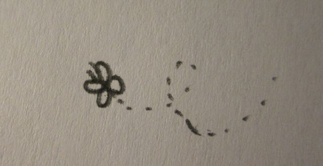 File:Butterfly.jpg
